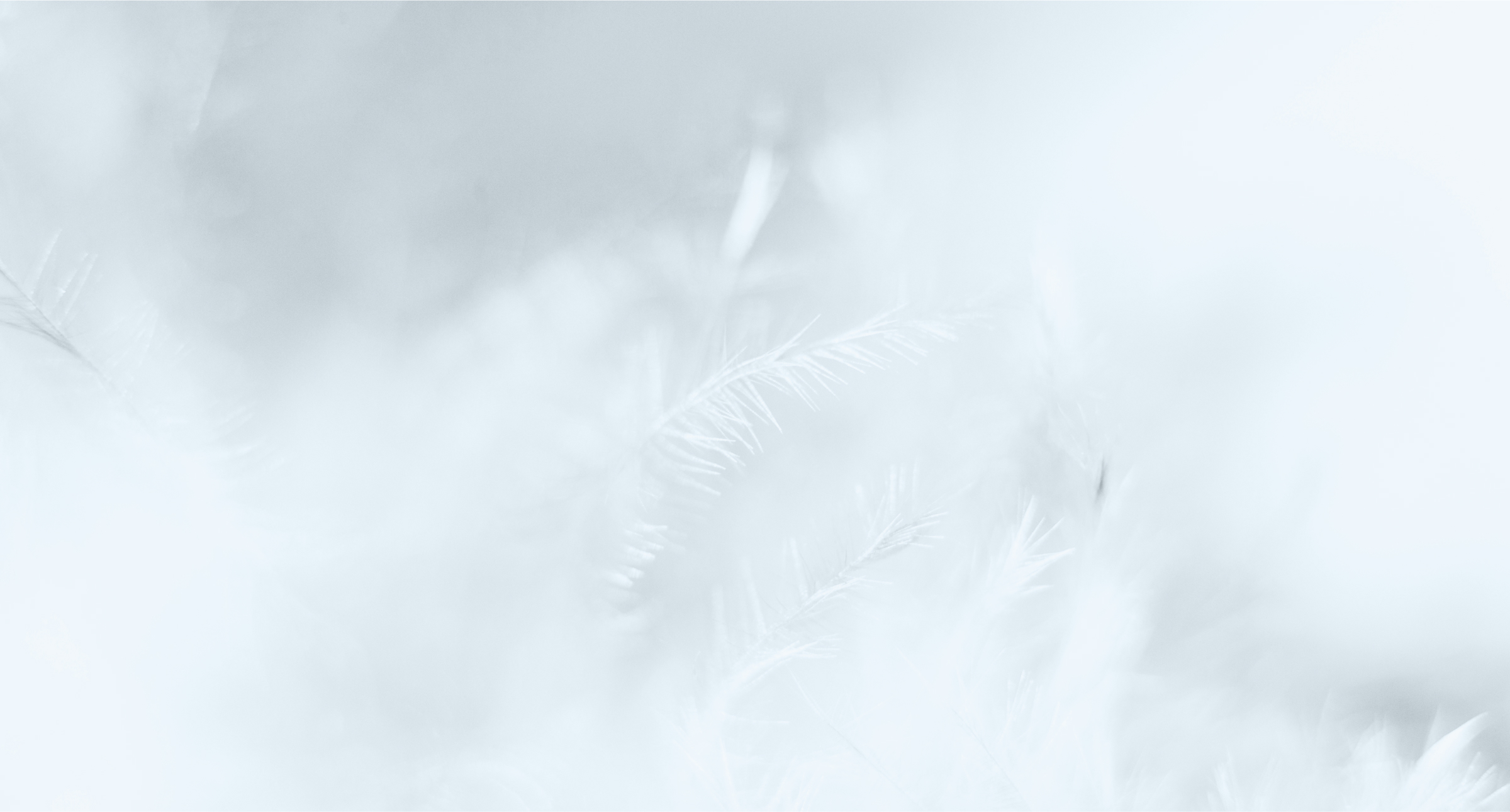 Partner- und Trauringe von Goldschmiede Josefine